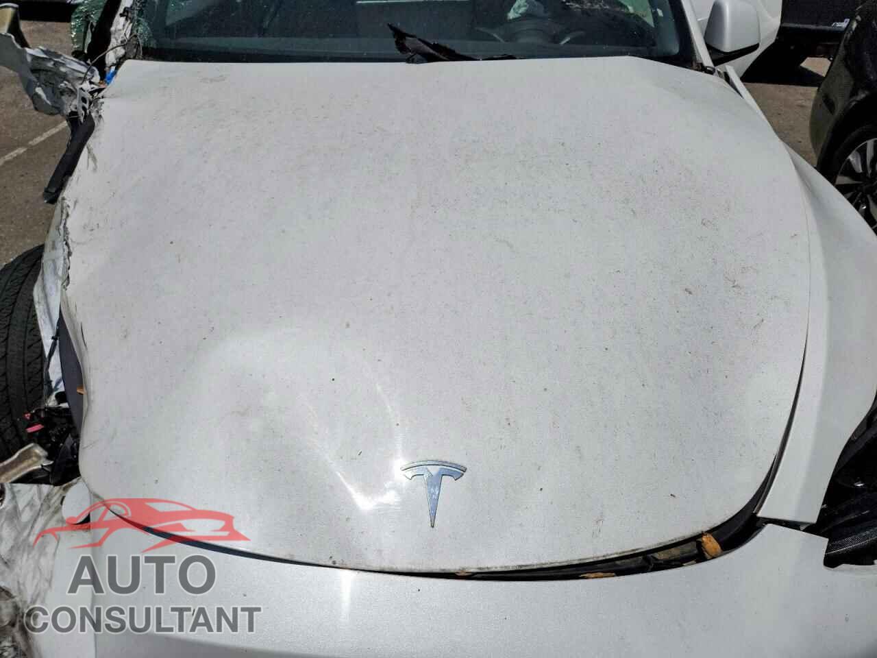 TESLA MODEL Y 2023 - 7SAYGAEEXPF759990