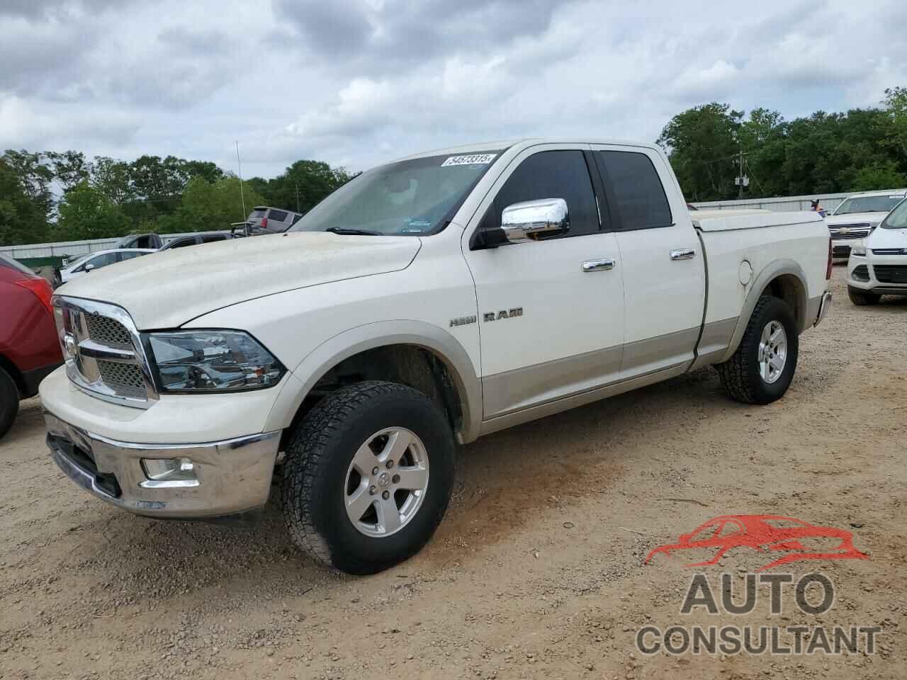 DODGE All Models 2009 - 1D3HV18T59S813657