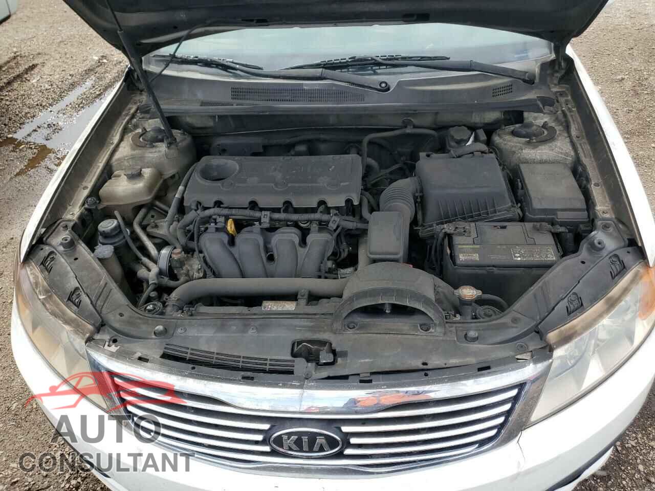 KIA OPTIMA 2010 - KNAGG4A84A5431934