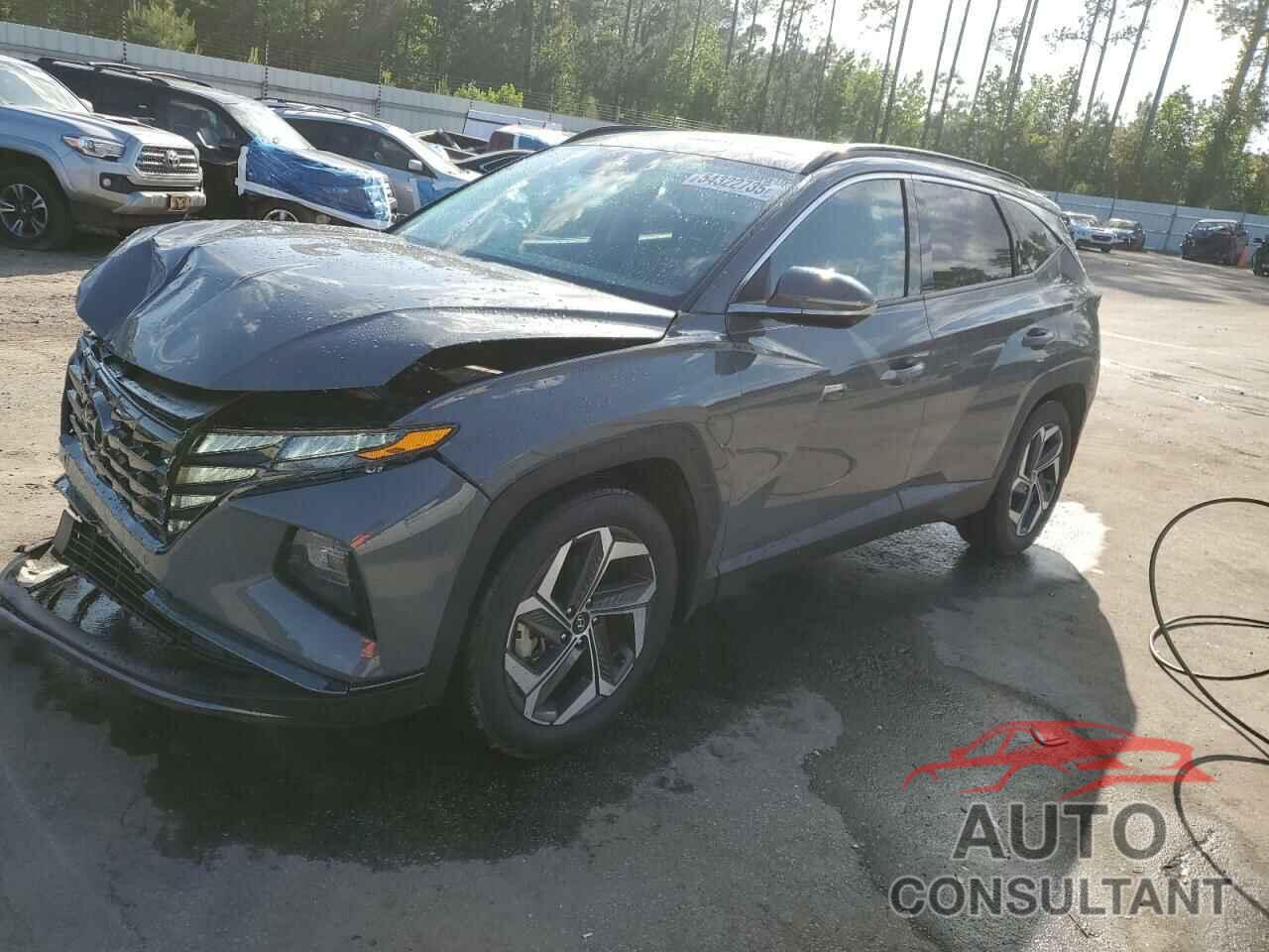 HYUNDAI TUCSON 2024 - 5NMJE3DE9RH415988