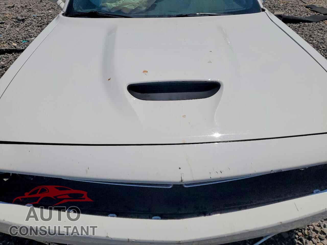 DODGE CHALLENGER 2023 - 2C3CDZBT1PH521168