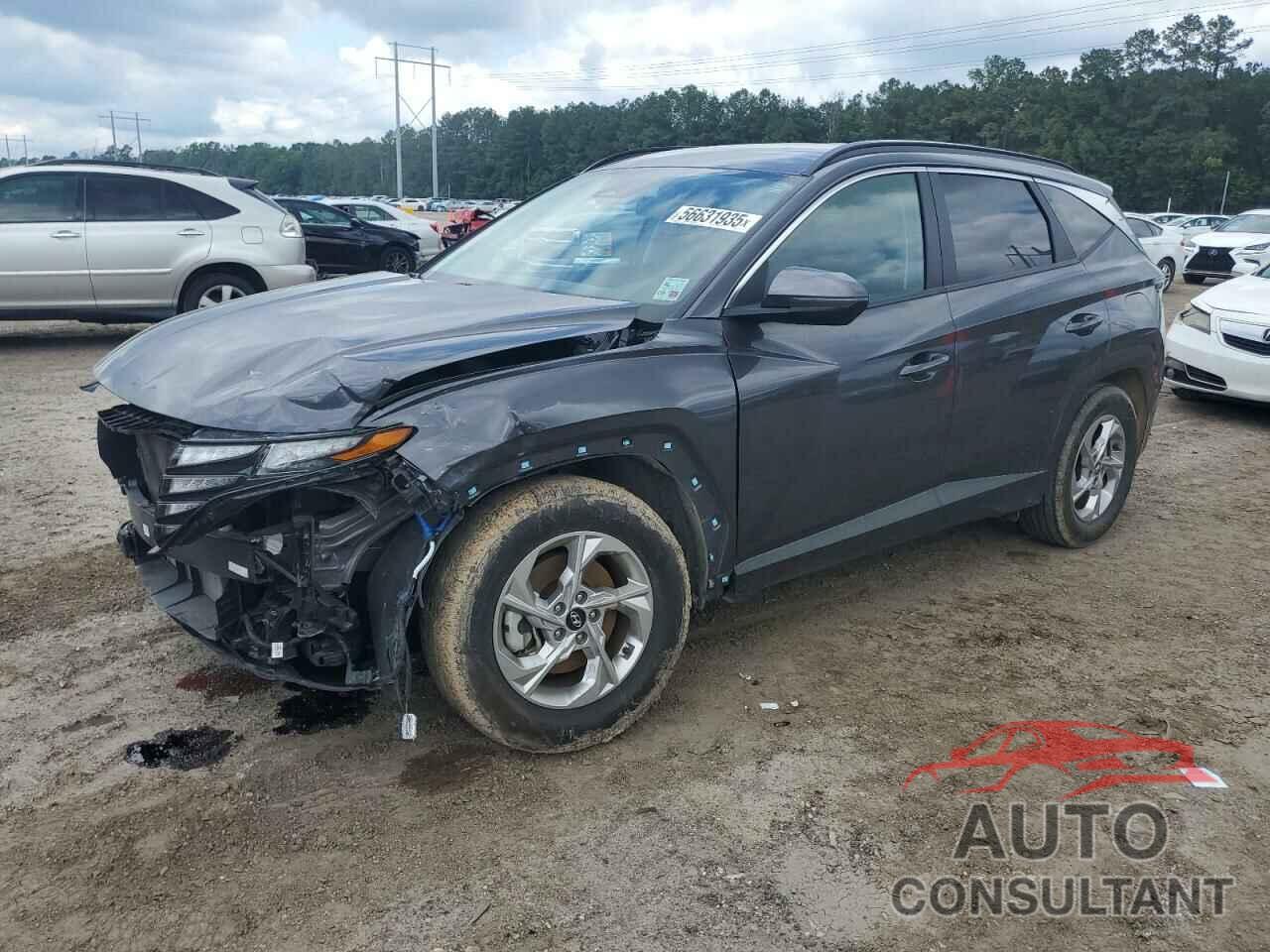 HYUNDAI TUCSON 2023 - KM8JB3AE1PU263770