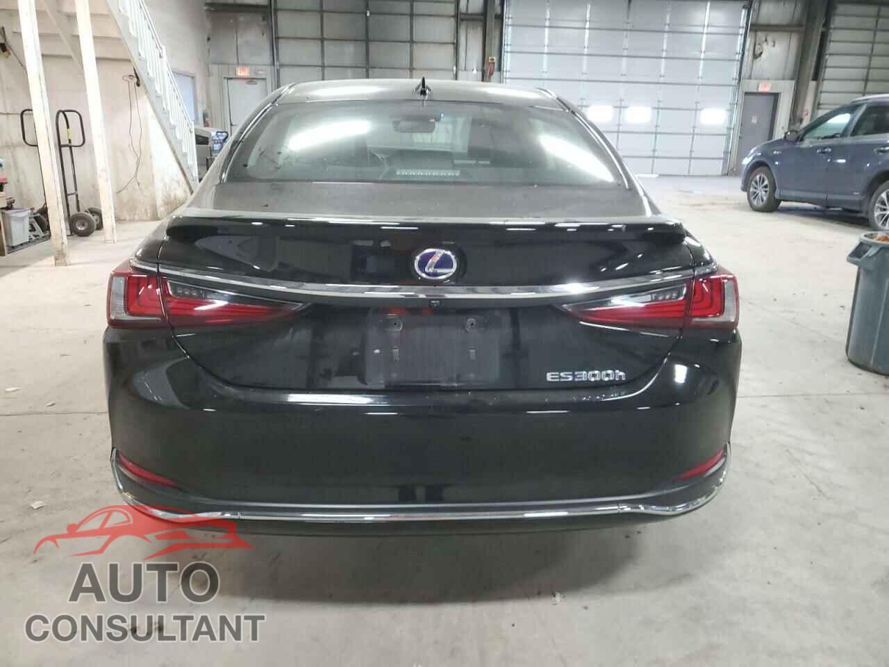 LEXUS ES300 2021 - 58ADA1C19MU005564