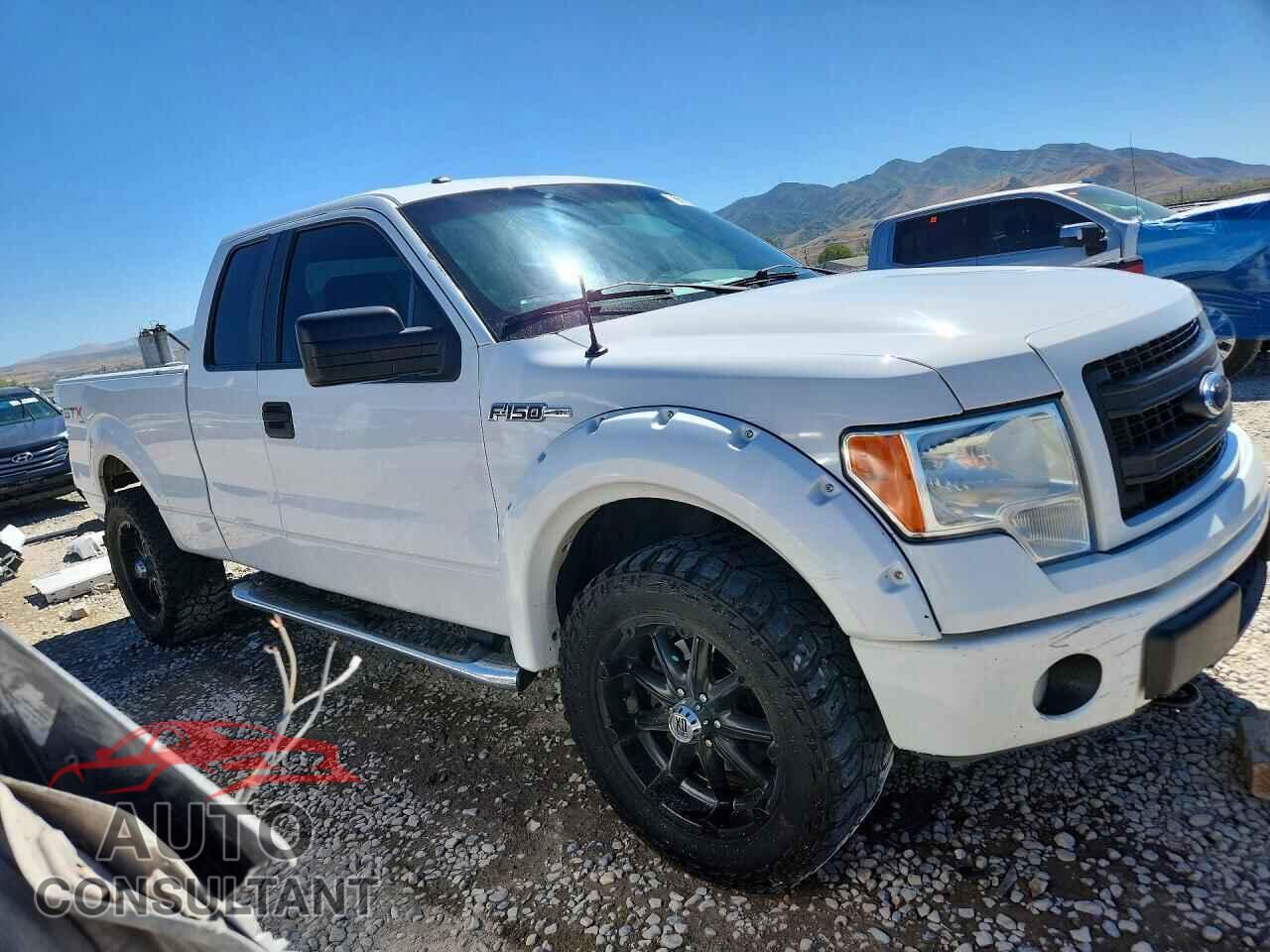 FORD F150 2013 - 1FTFX1EF2DFD83287