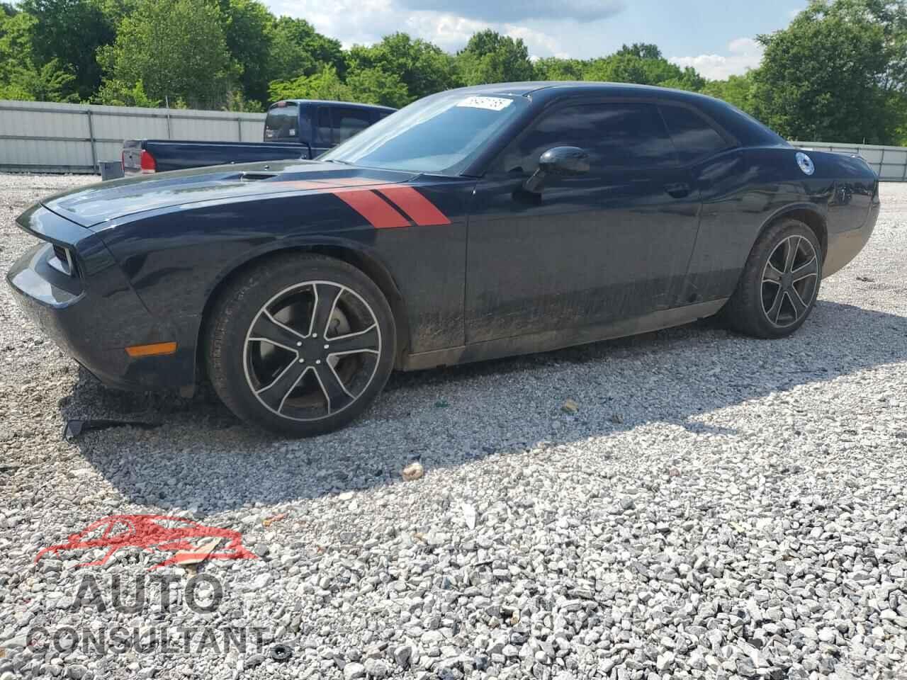DODGE CHALLENGER 2013 - 2C3CDYAGXDH594209