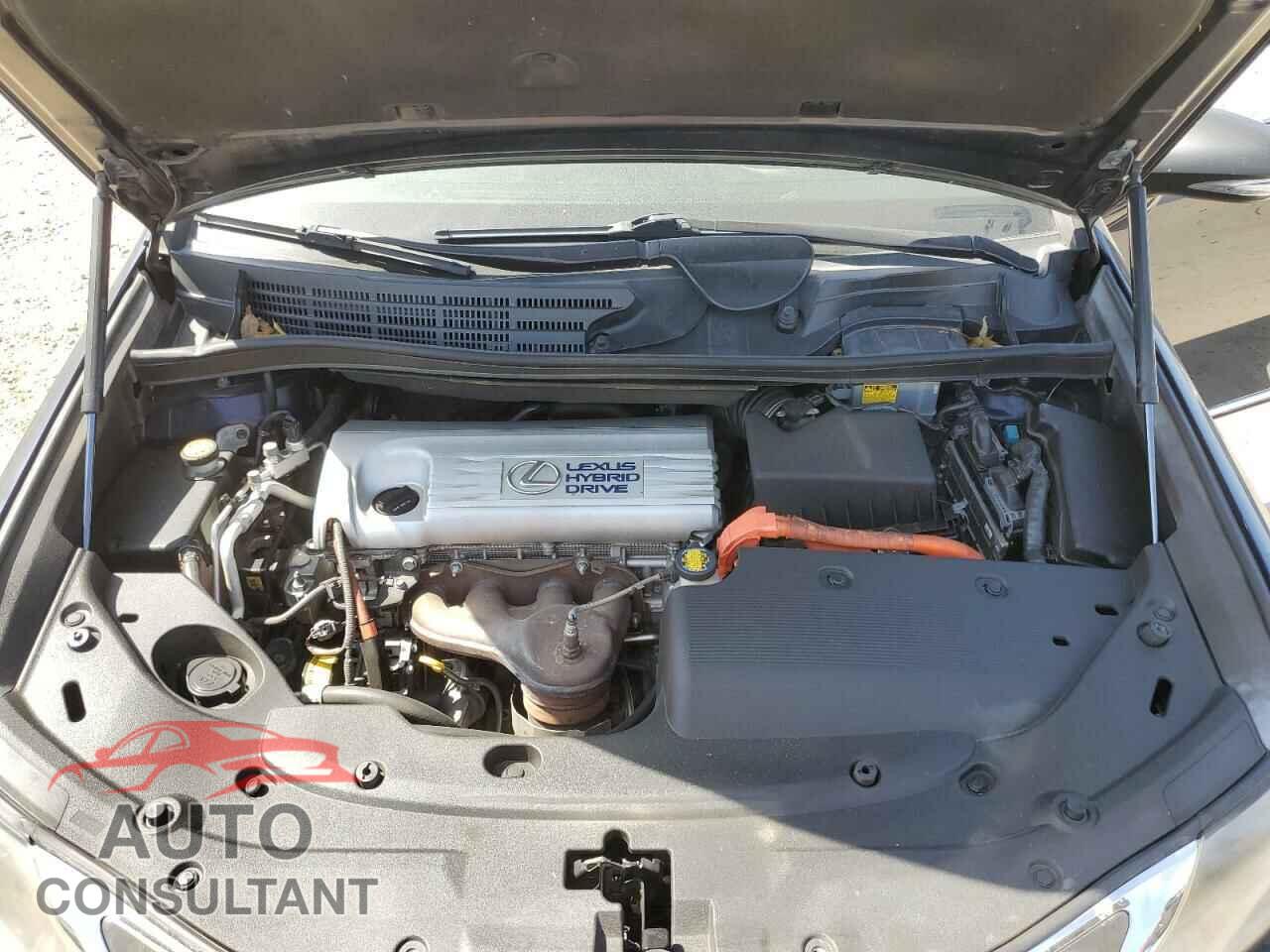 LEXUS HS 2010 - JTHBB1BA6A2016495