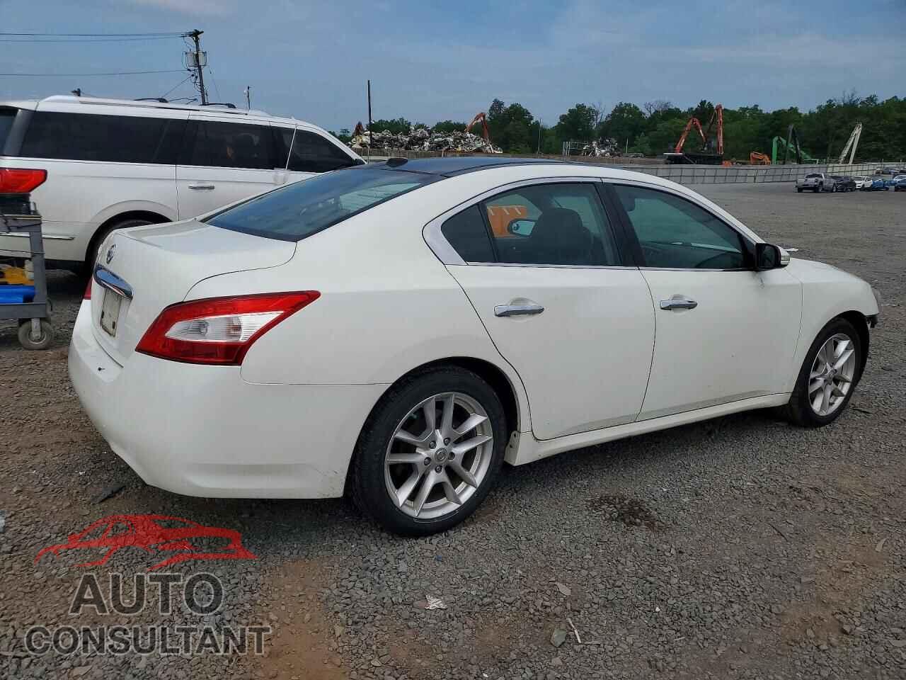 NISSAN MAXIMA 2009 - 1N4AA51E09C812439