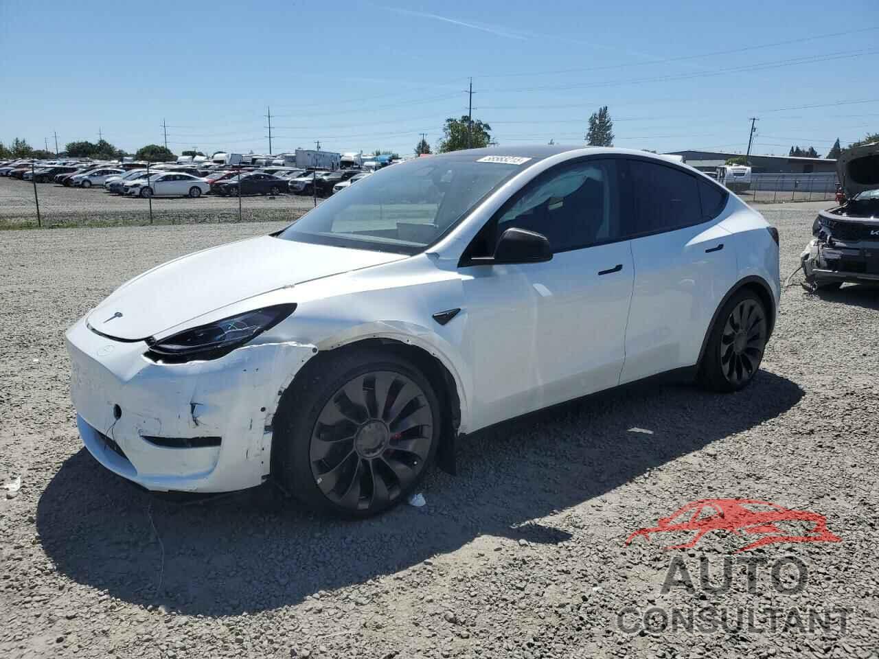 TESLA MODEL Y 2022 - 7SAYGDEF7NF539066