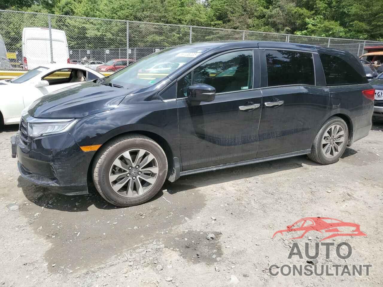 HONDA All Models 2021 - 5FNRL6H78MB023777