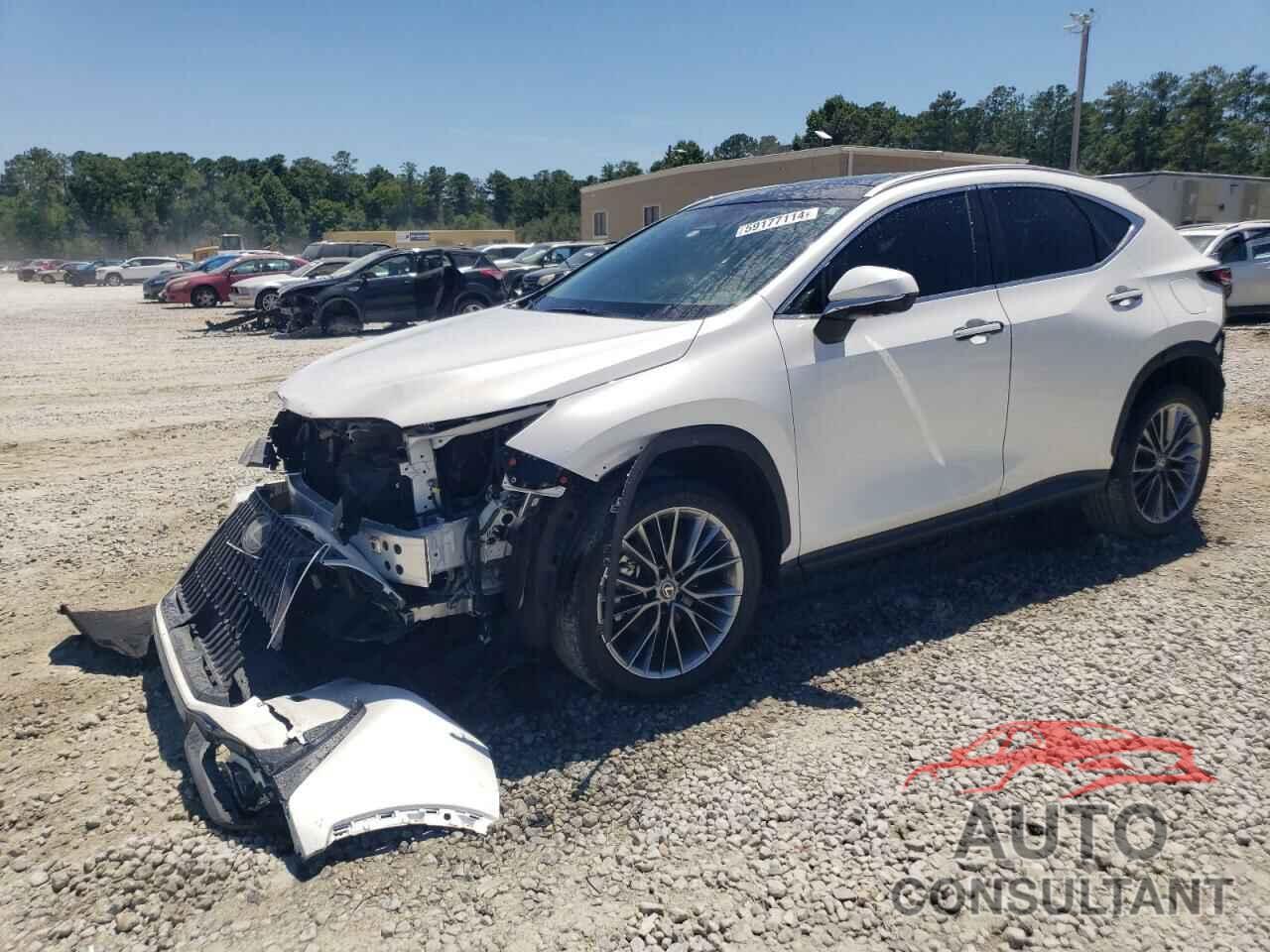 LEXUS NX 350 2022 - 2T2HGCEZ2NC007953