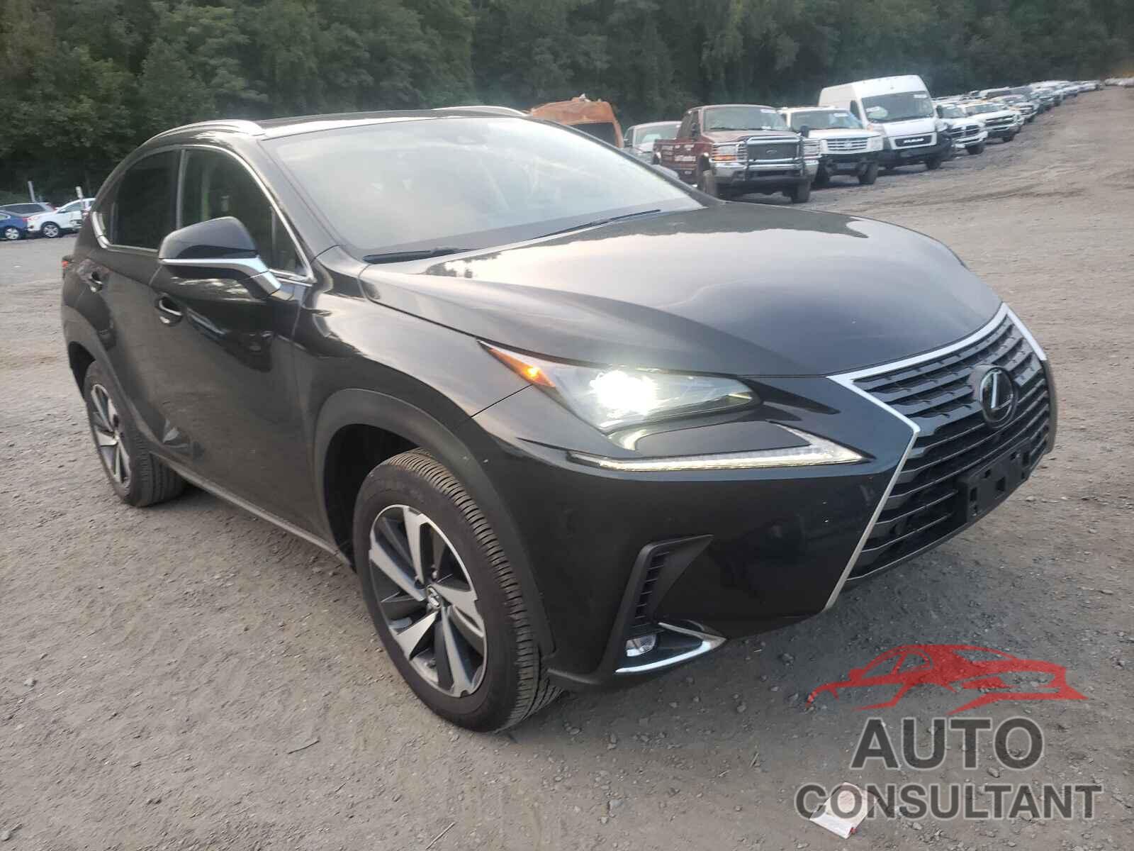 LEXUS NX 2020 - JTJGARDZ0L5016809