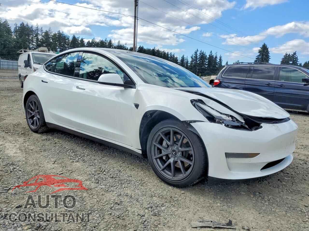TESLA MODEL 3 2021 - 5YJ3E1EA8MF016539