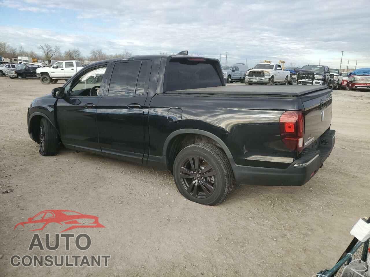 HONDA RIDGELINE 2019 - 5FPYK3F14KB043248