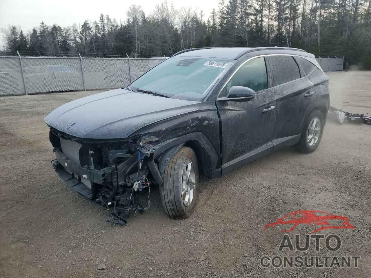 HYUNDAI TUCSON 2024 - KM8JCCDE5RU279644