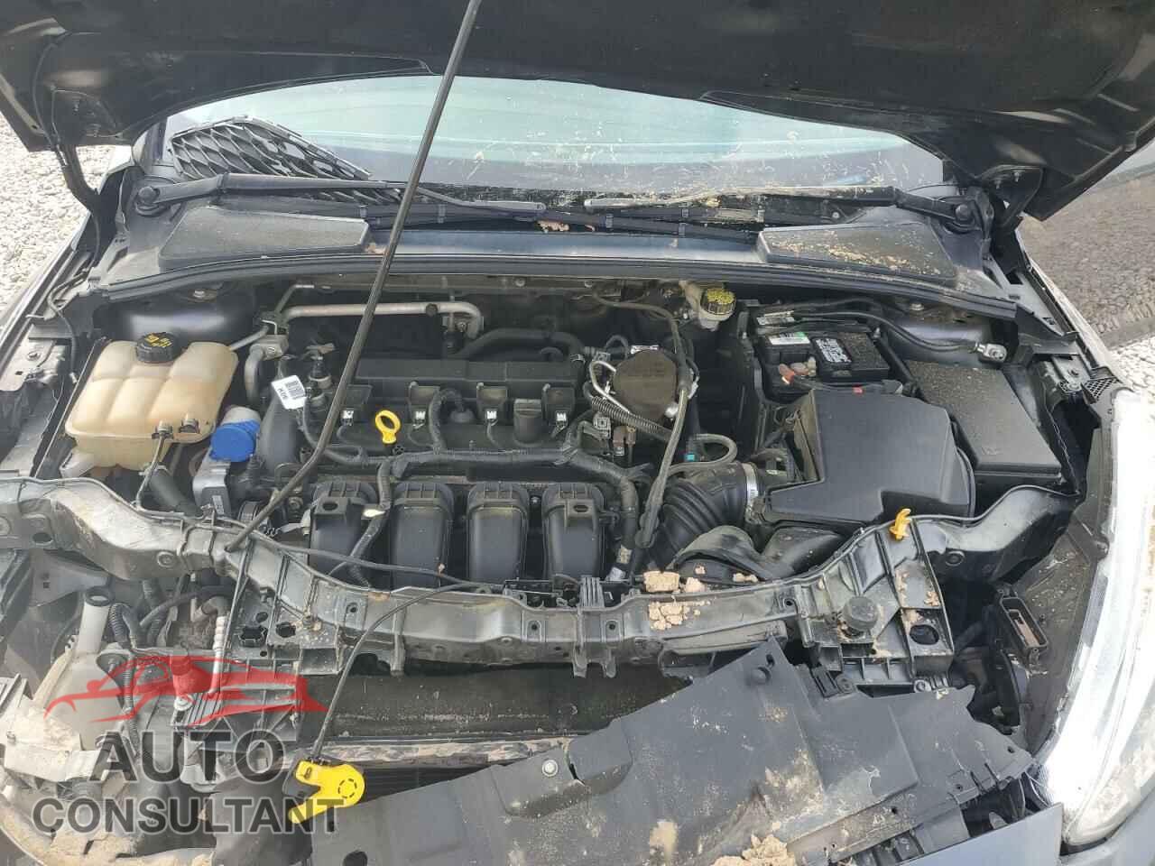 FORD FOCUS 2016 - 1FADP3F2XGL253736