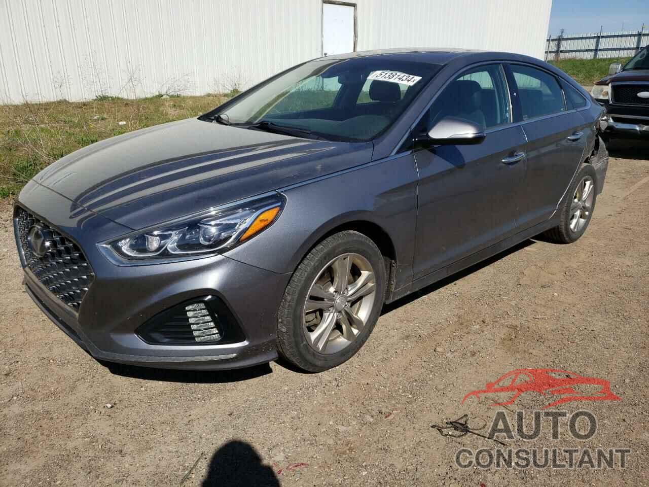 HYUNDAI SONATA 2019 - 5NPE34AF8KH754275