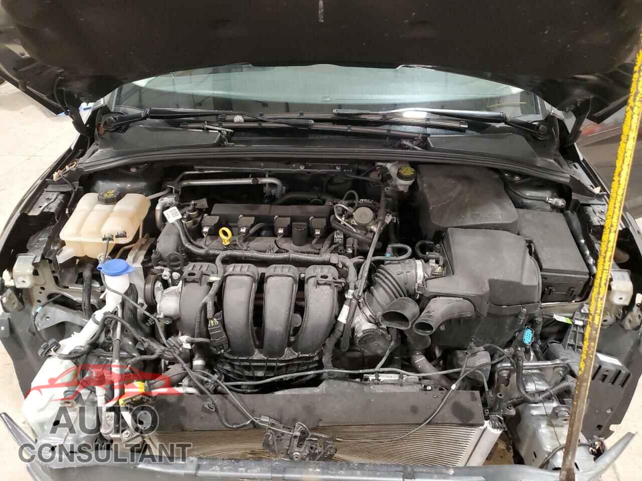 FORD FOCUS 2016 - 1FADP3F2XGL377604