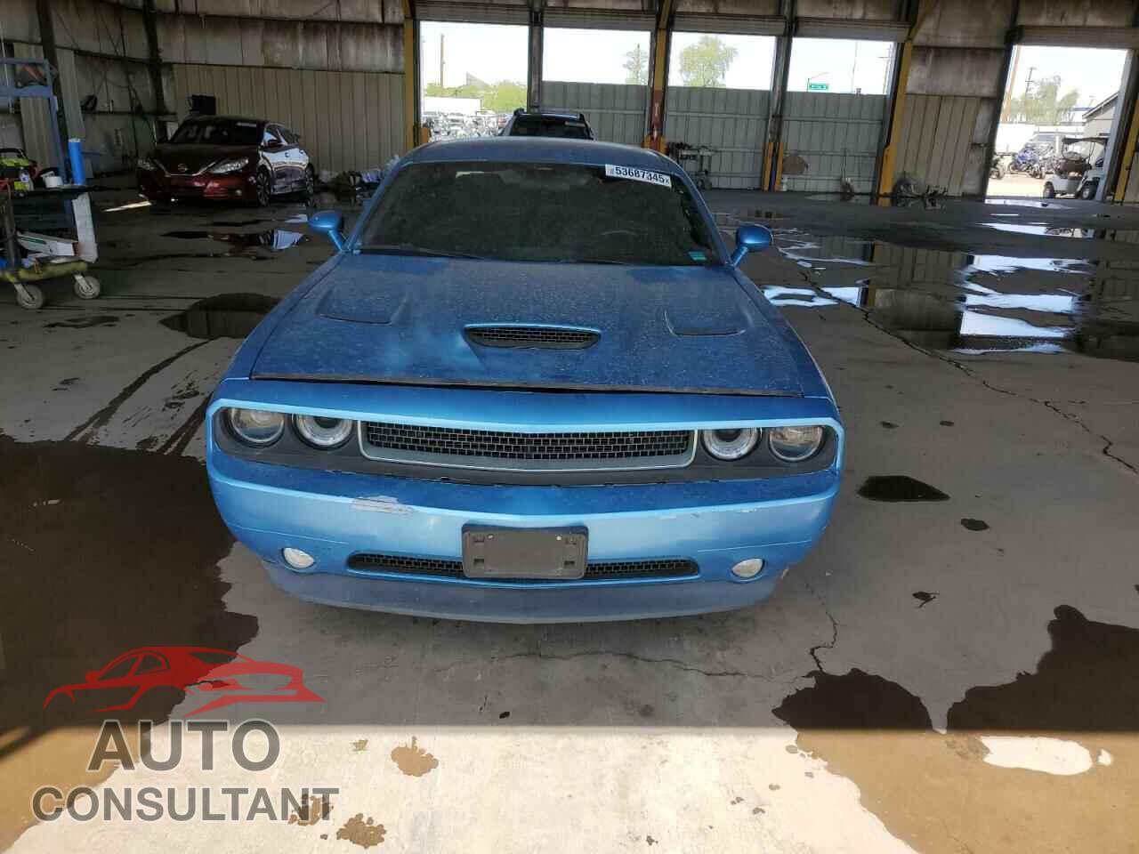 DODGE CHALLENGER 2013 - 2C3CDYAG2DH641359
