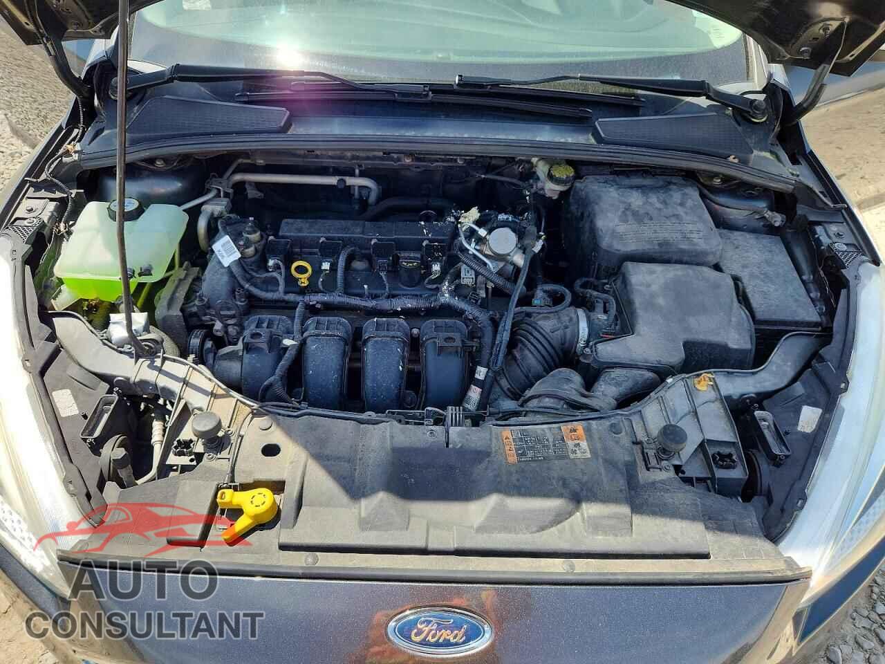 FORD FOCUS 2016 - 1FADP3F23GL359073