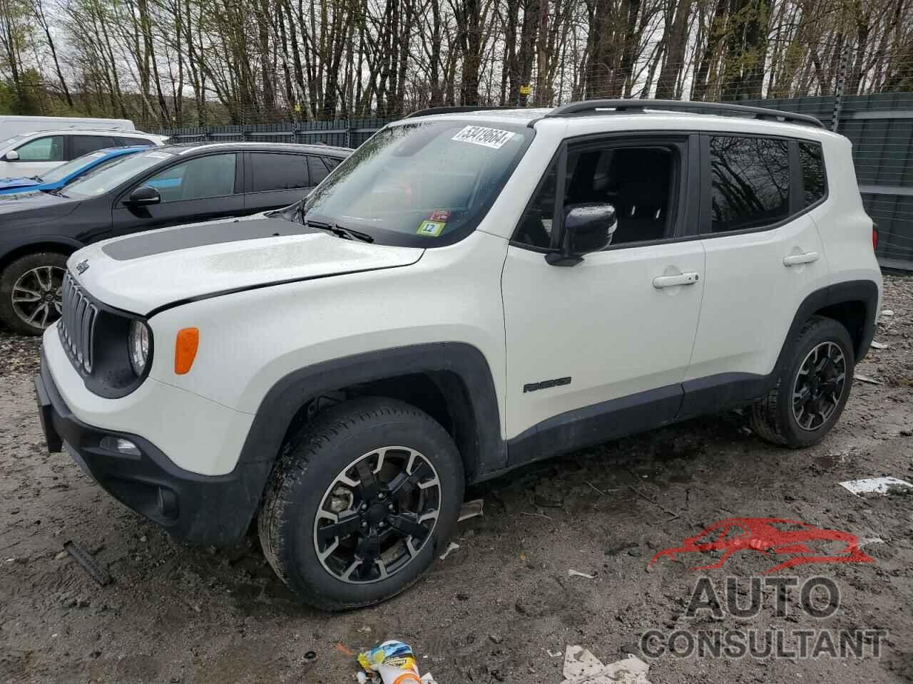 JEEP RENEGADE 2023 - ZACNJDB10PPP44473