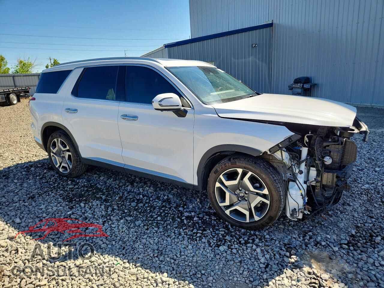 HYUNDAI PALISADE 2024 - KM8R54GEXRU666270