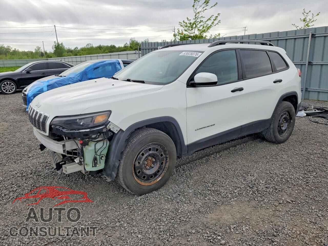 JEEP CHEROKEE 2019 - 1C4PJMAX0KD142648