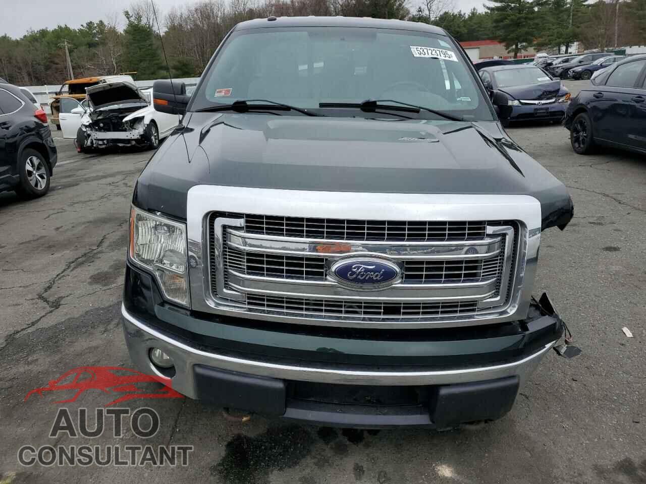 FORD F-150 2013 - 1FTFX1EF7DFC96386