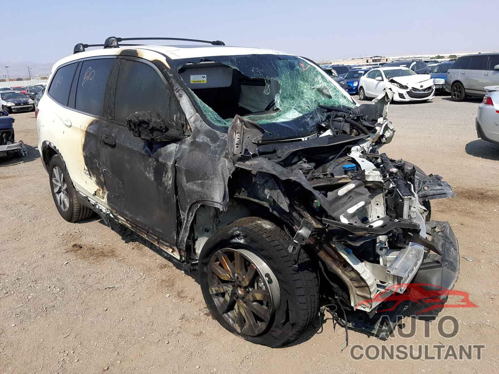 HONDA PILOT 2019 - 5FNYF5H40KB000543