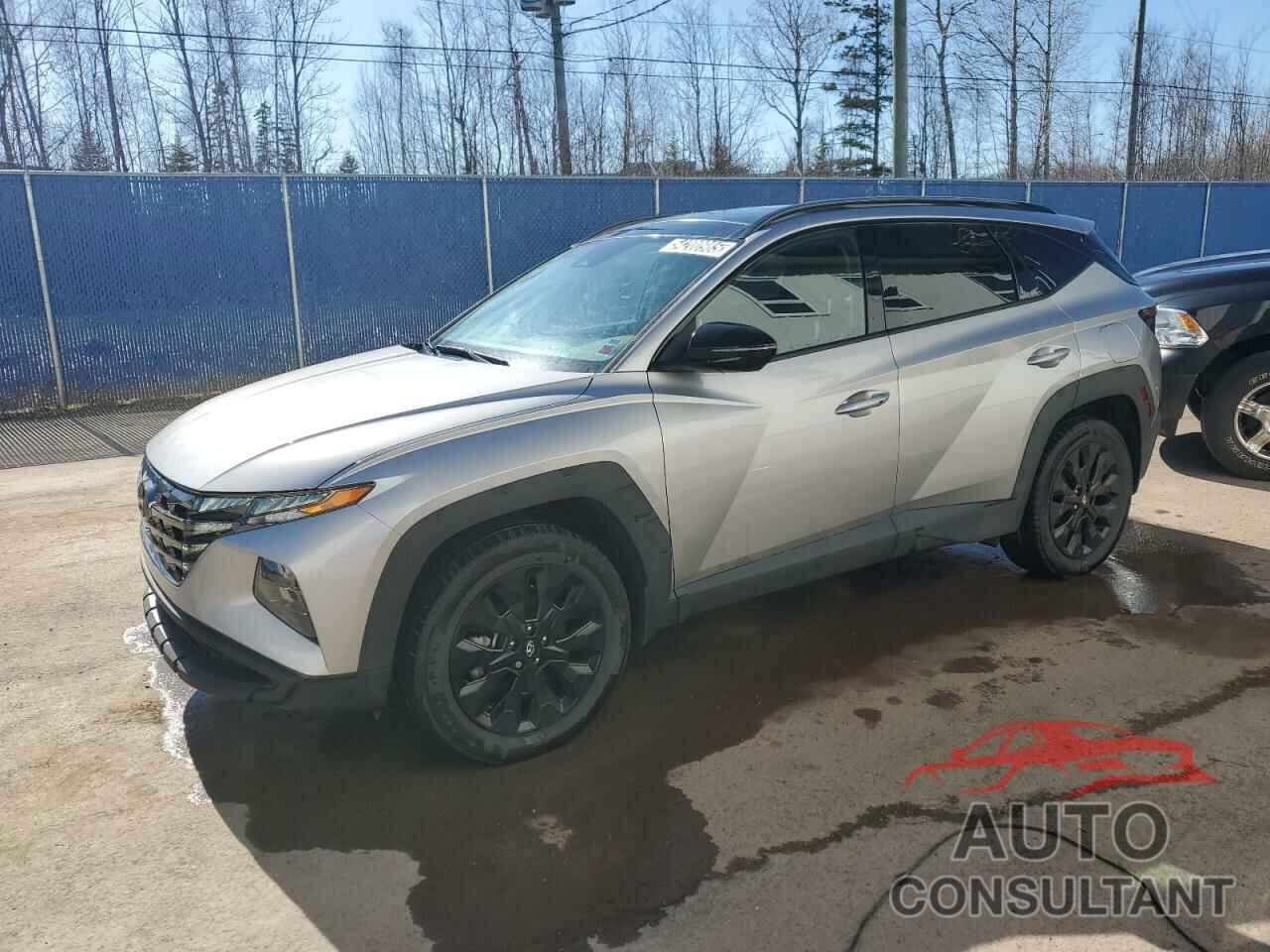 HYUNDAI TUCSON 2023 - KM8JCCAE5PU260836