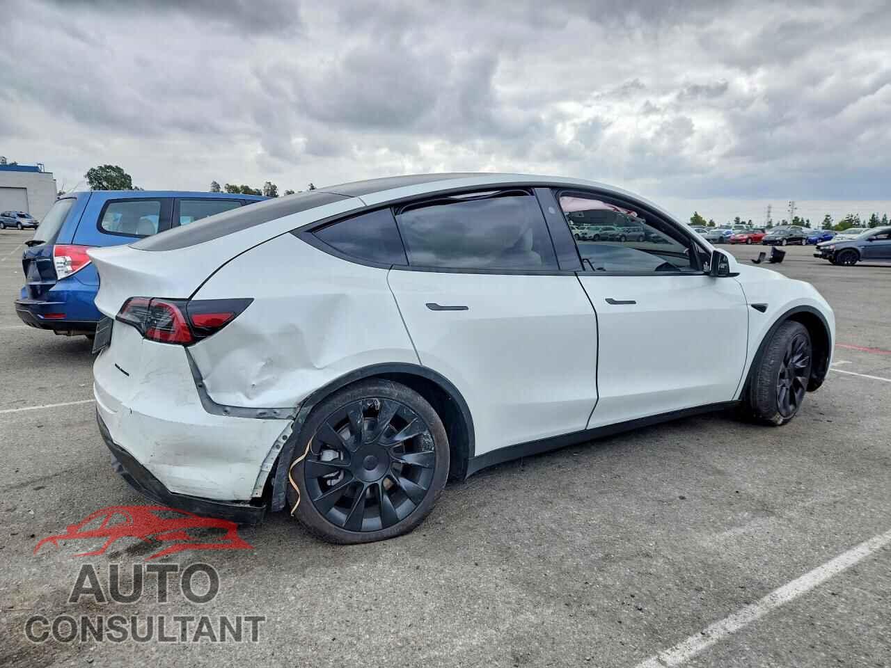 TESLA MODEL Y 2024 - 7SAYGDEE6RF089603