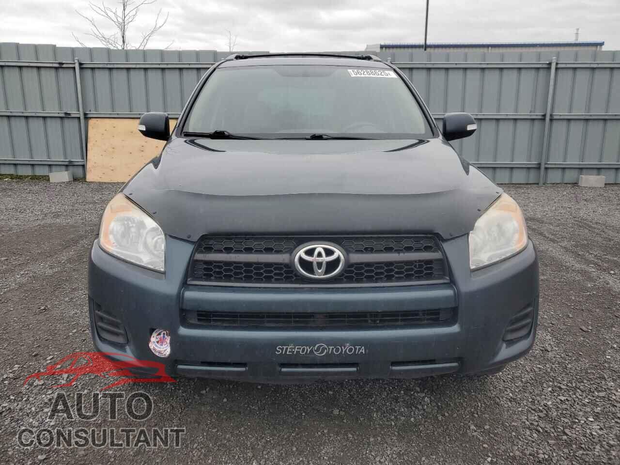 TOYOTA RAV4 2011 - 2T3BF4DV5BW115177