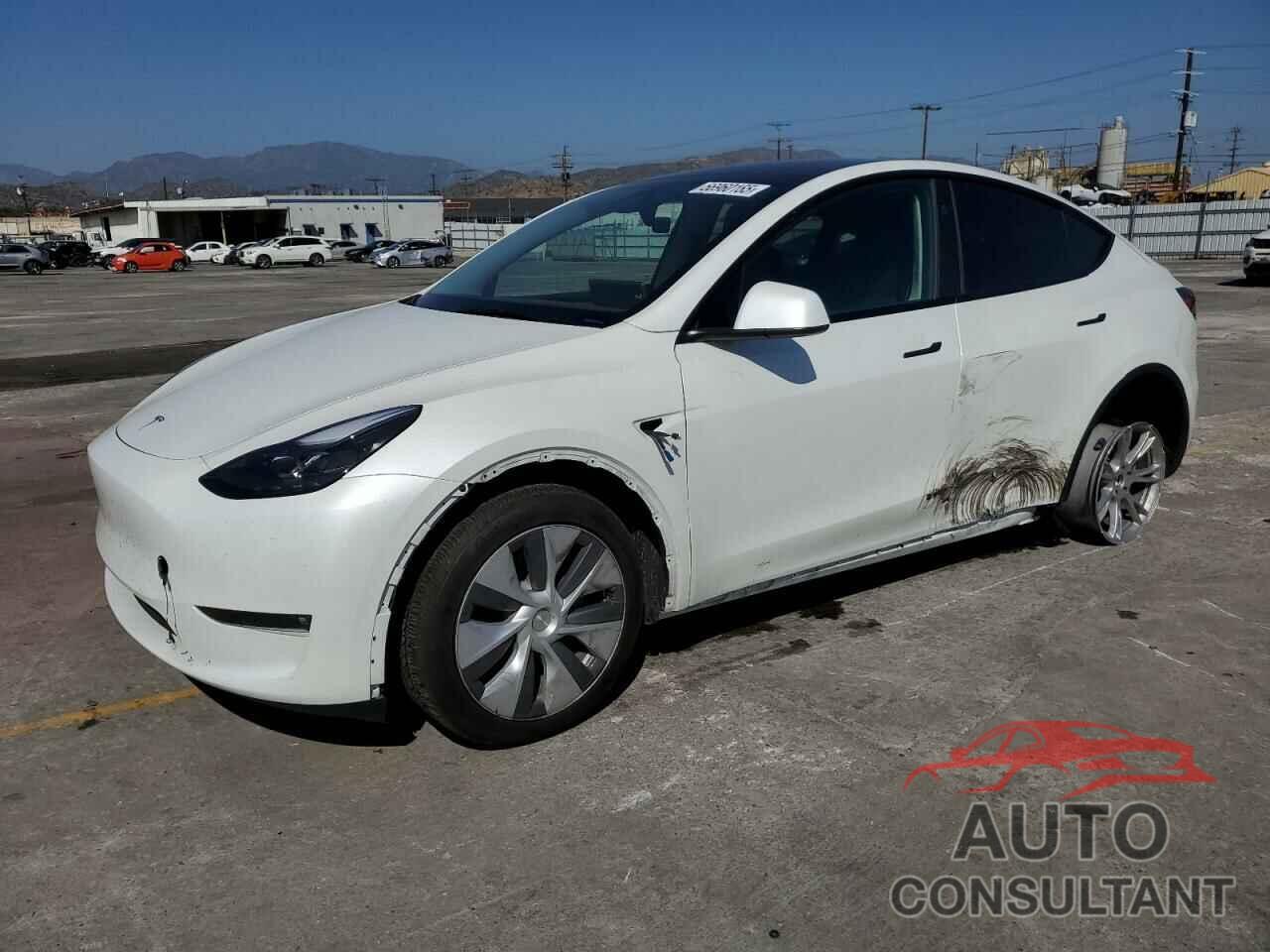 TESLA MODEL Y 2024 - 7SAYGDEE1RF090884