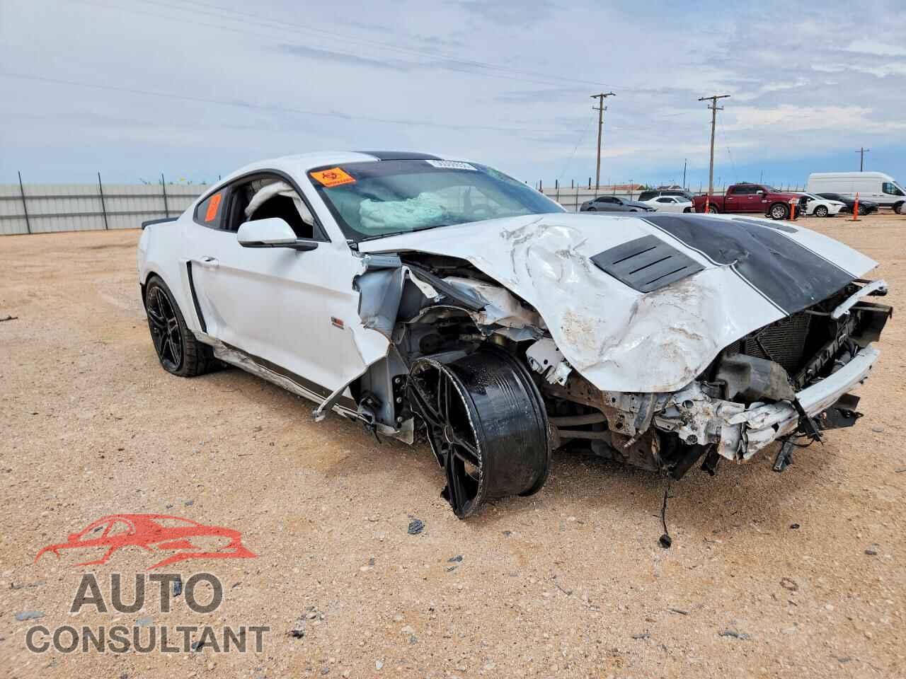 FORD MUSTANG 2019 - 1FA6P8CF5K5151982