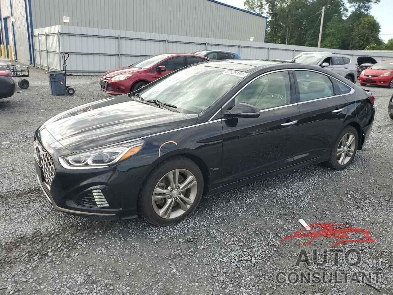 HYUNDAI SONATA 2019 - 5NPE34AF9KH762143