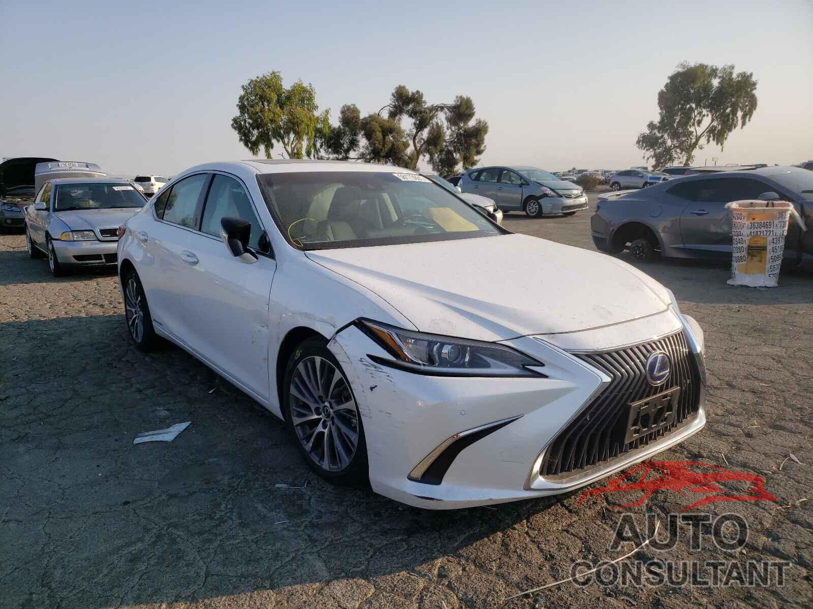 LEXUS ES300 2020 - 58AD21B15LU012136