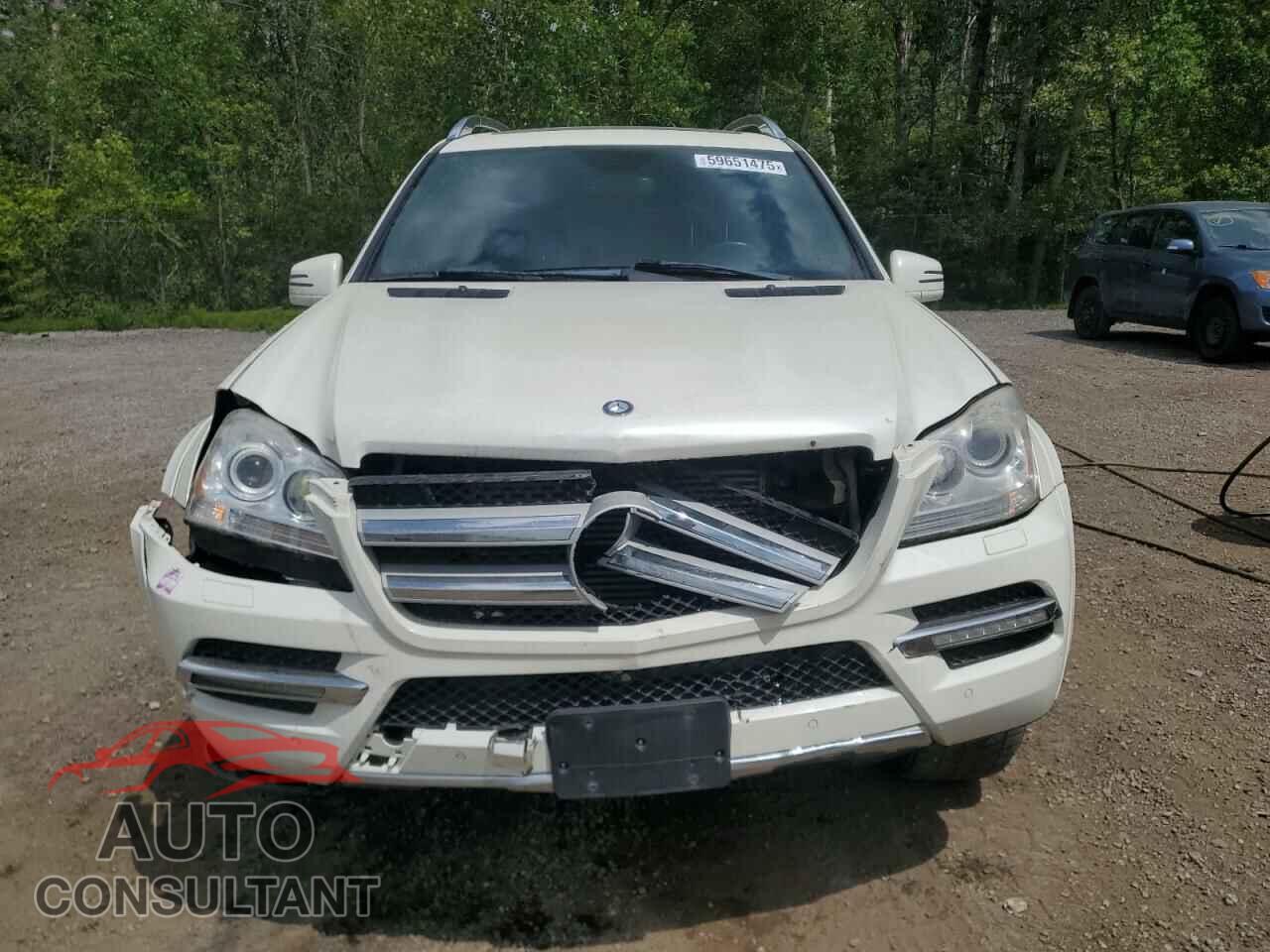 MERCEDES-BENZ GL-CLASS 2012 - 4JGBF2FE2CA787582