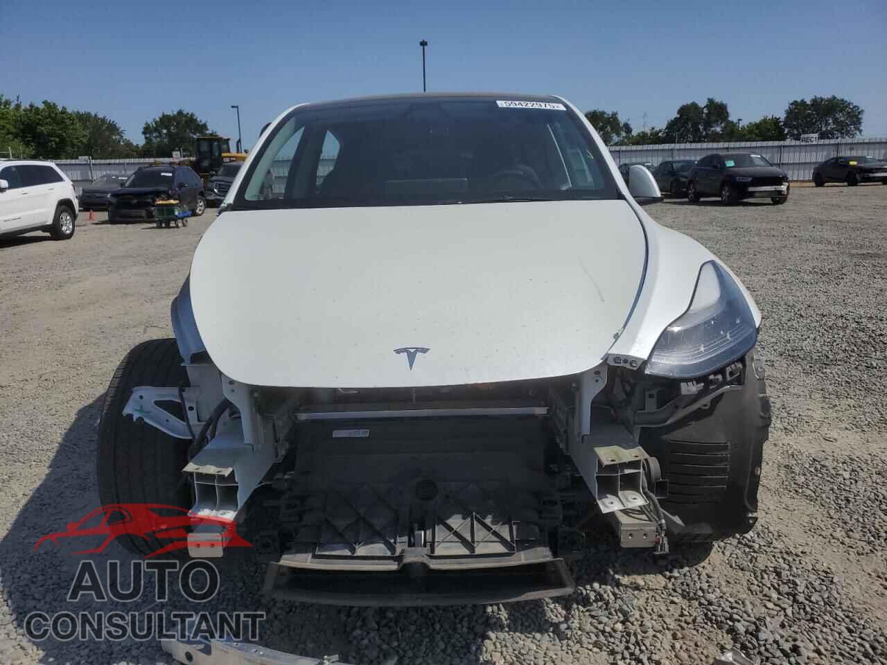 TESLA MODEL Y 2024 - 7SAYGAEE2RF103110