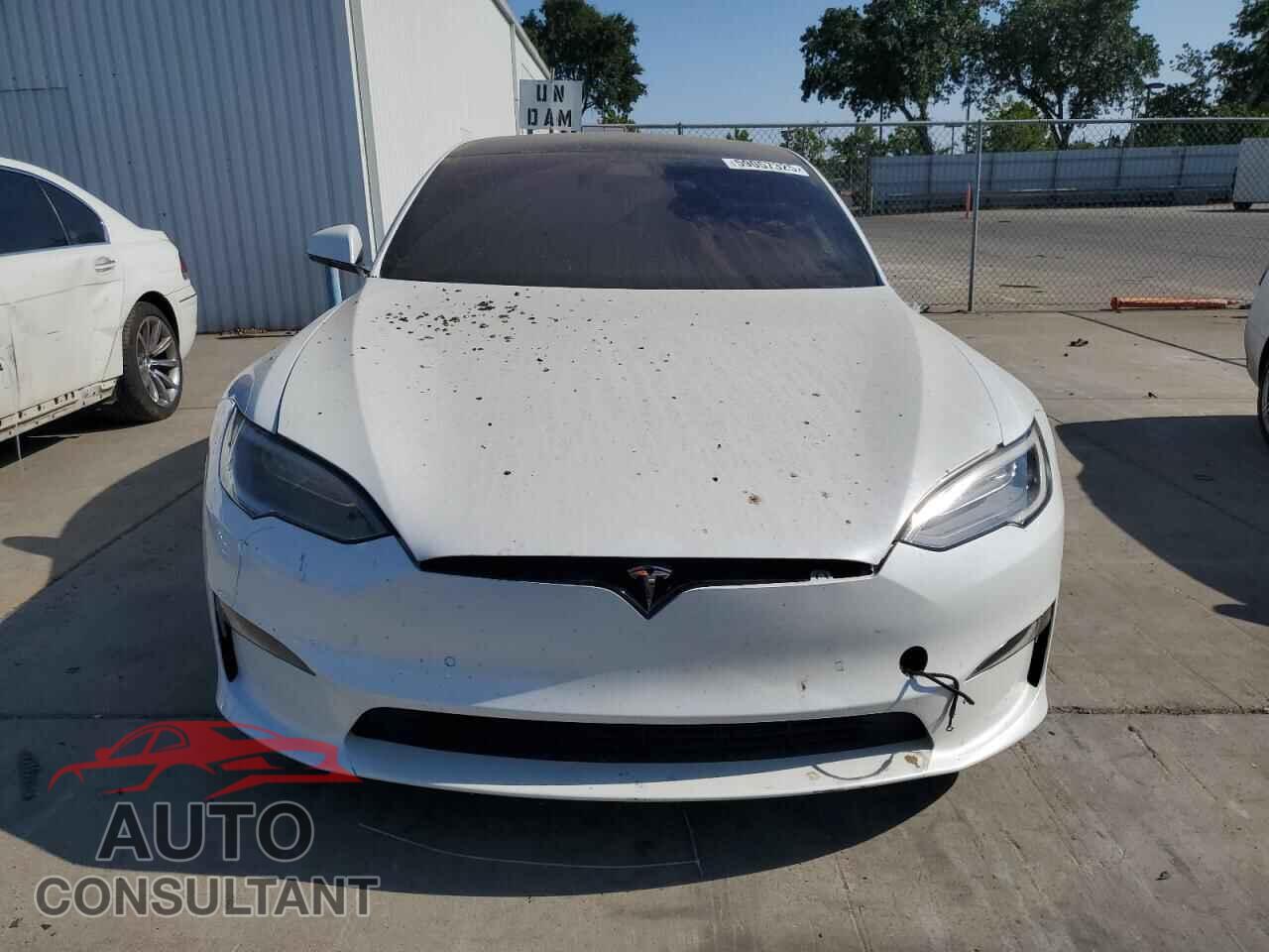 TESLA MODEL S 2021 - 5YJSA1E53MF443119