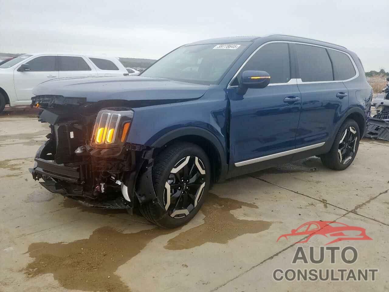 KIA TELLURIDE 2025 - 5XYP34GCXSG623216