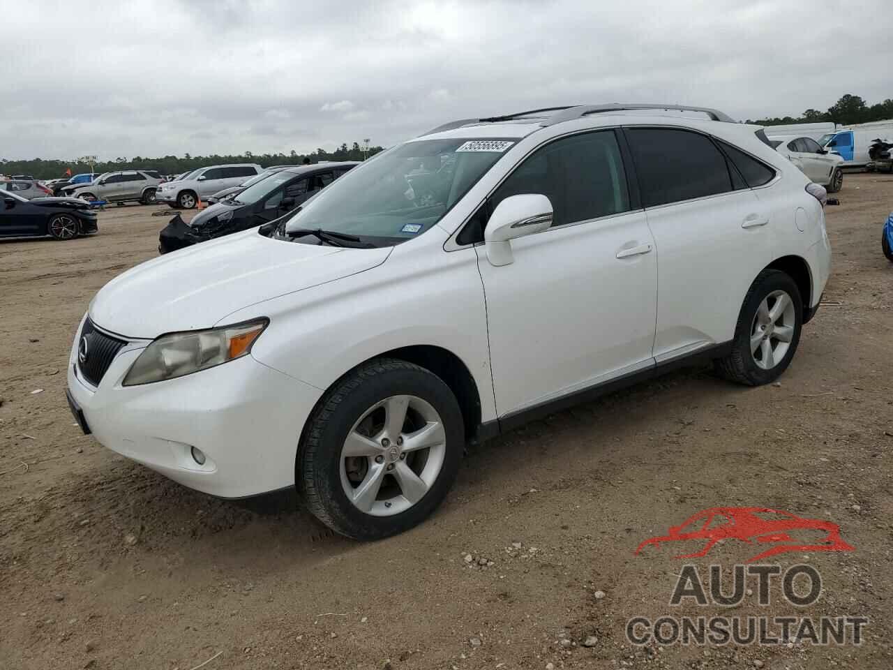 LEXUS RX350 2010 - 2T2BK1BA8AC054146