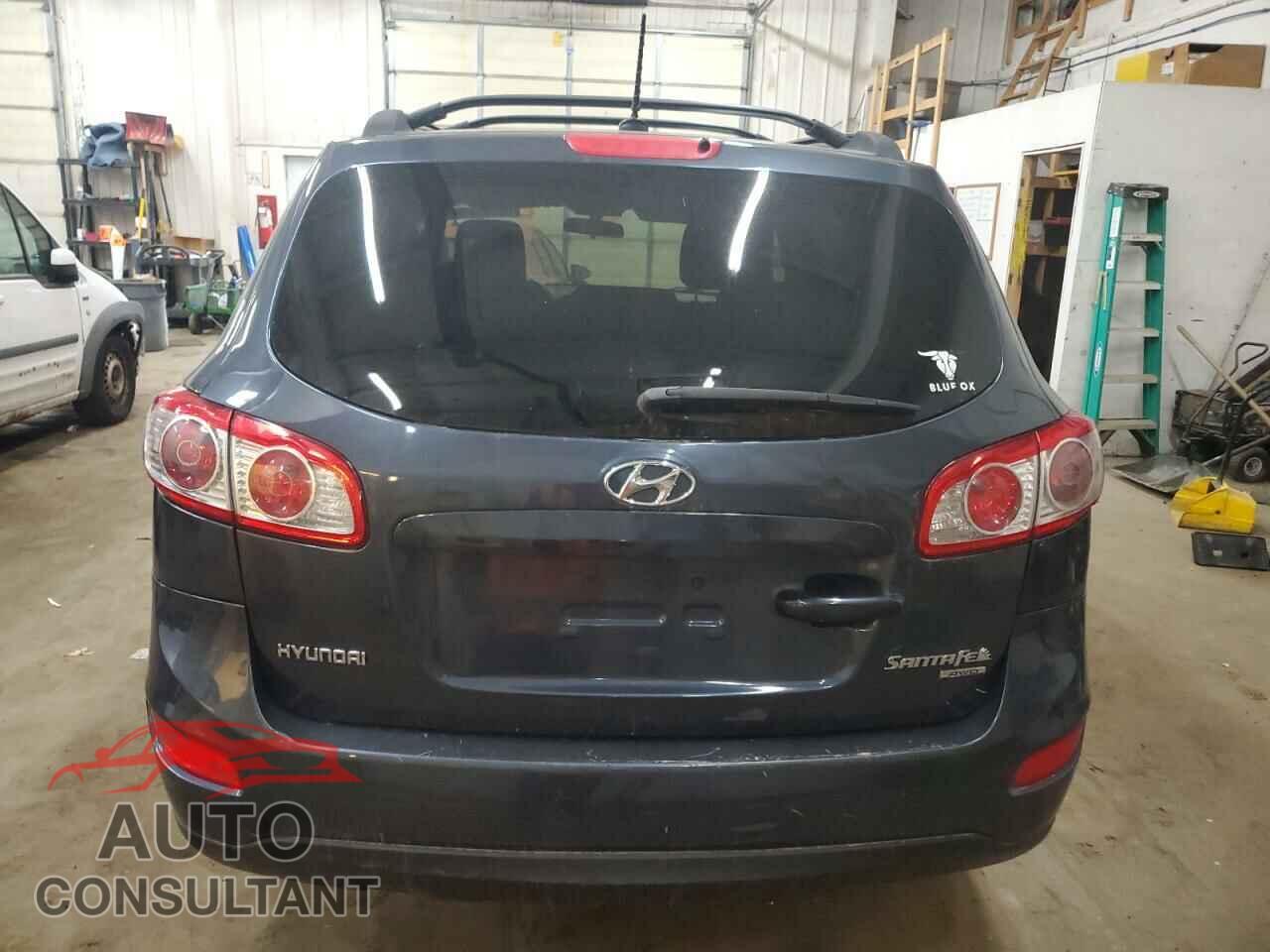 HYUNDAI SANTA FE 2010 - 5NMSGDAB9AH353818