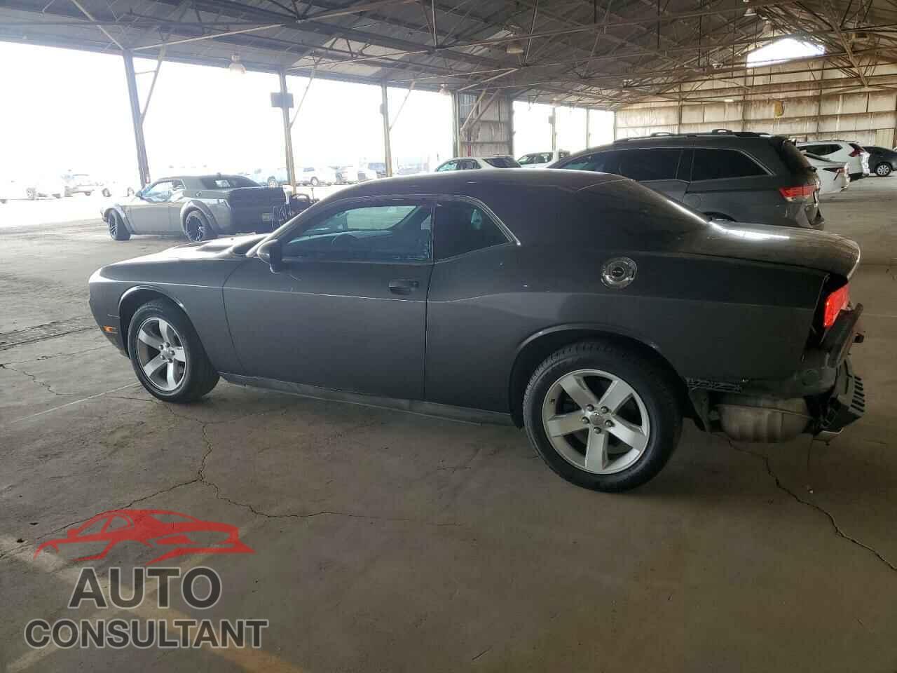 DODGE CHALLENGER 2013 - 2C3CDYAG1DH607266