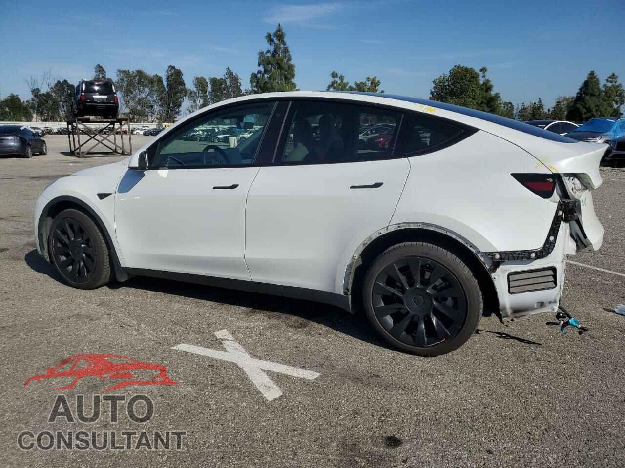TESLA MODEL Y 2022 - 7SAYGDEEXNF324417