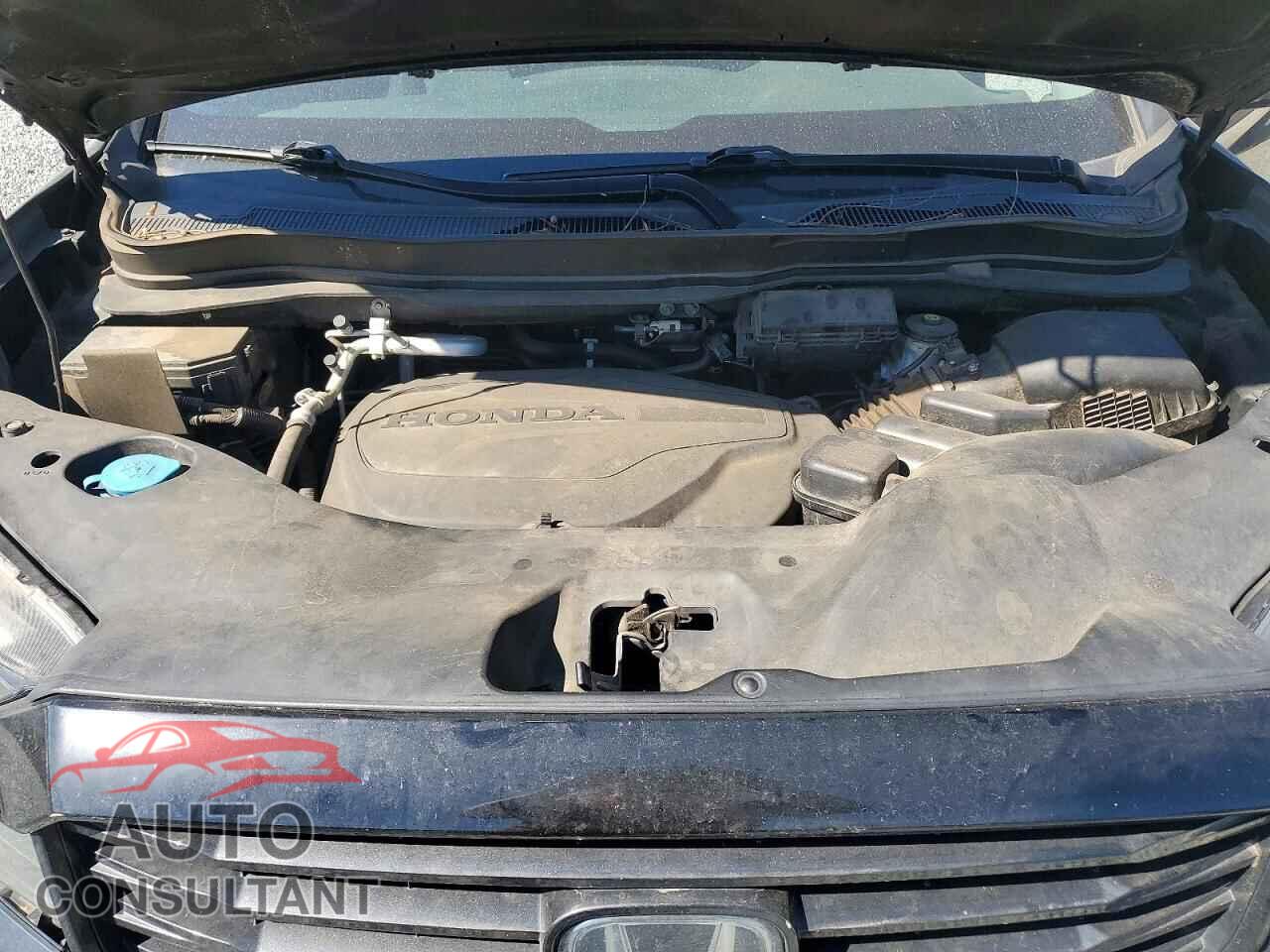 HONDA RIDGELINE 2021 - 5FPYK3F11MB002885