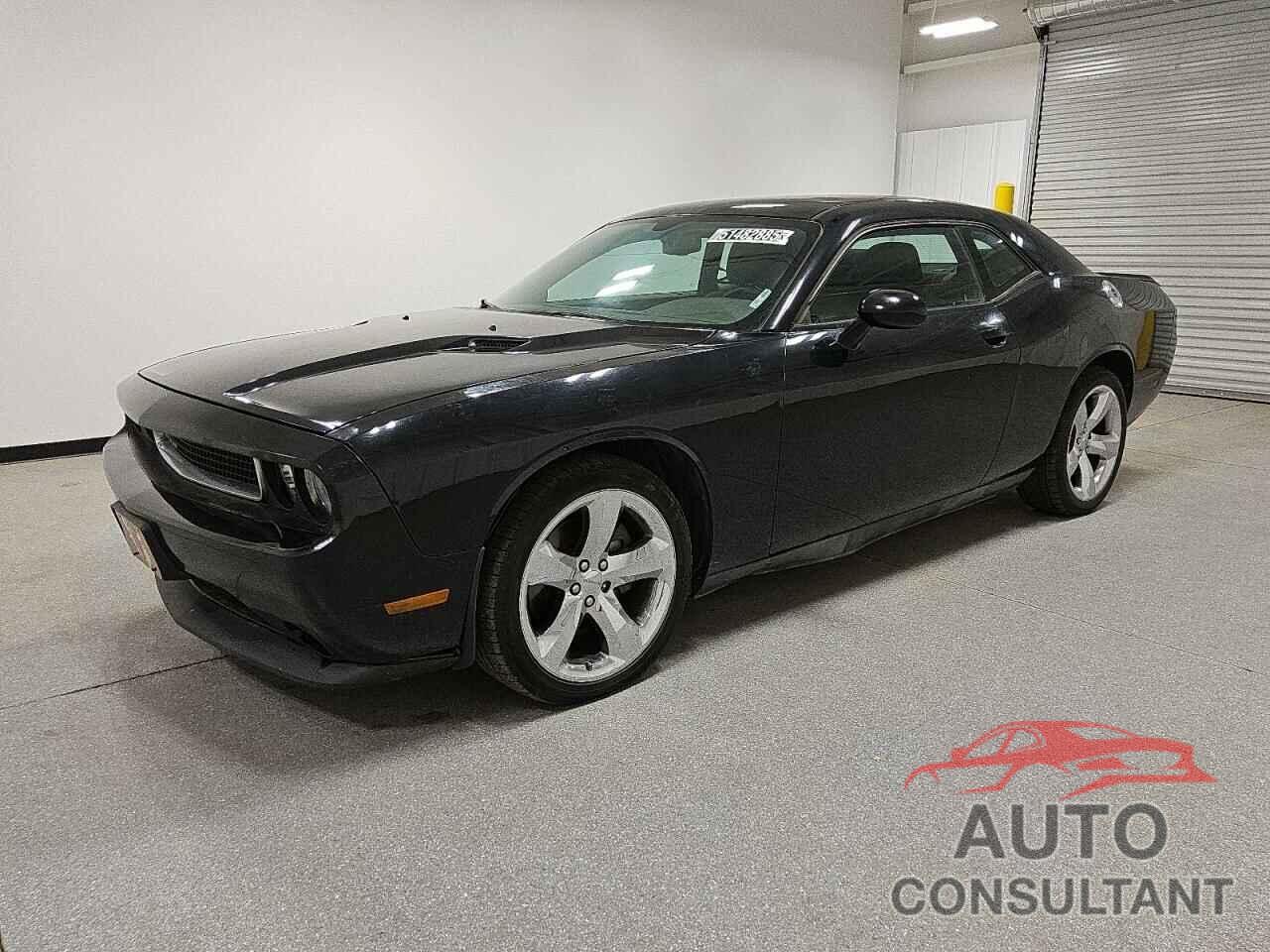 DODGE CHALLENGER 2013 - 2C3CDYAG5DH650976