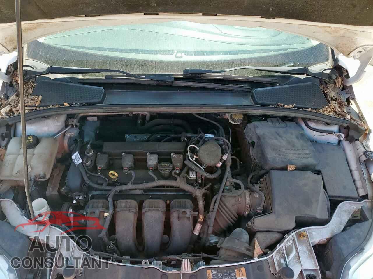 FORD FOCUS 2014 - 1FADP3K20EL305376