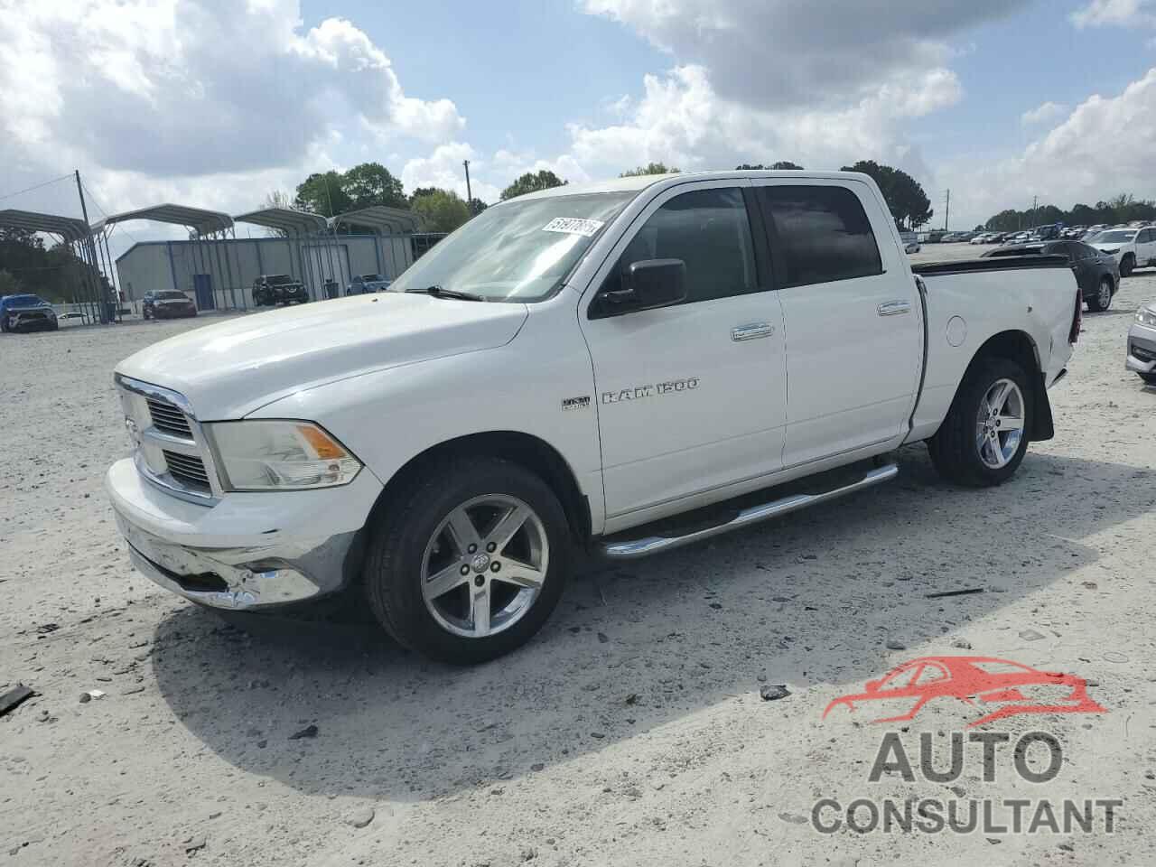 DODGE All Models 2011 - 1D7RB1CT2BS713282