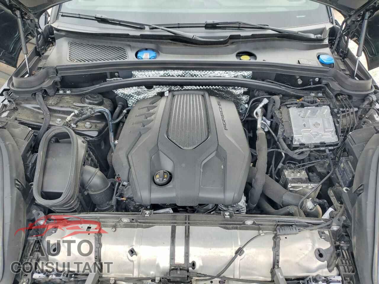 PORSCHE MACAN 2025 - WP1AA2A58SLB05604