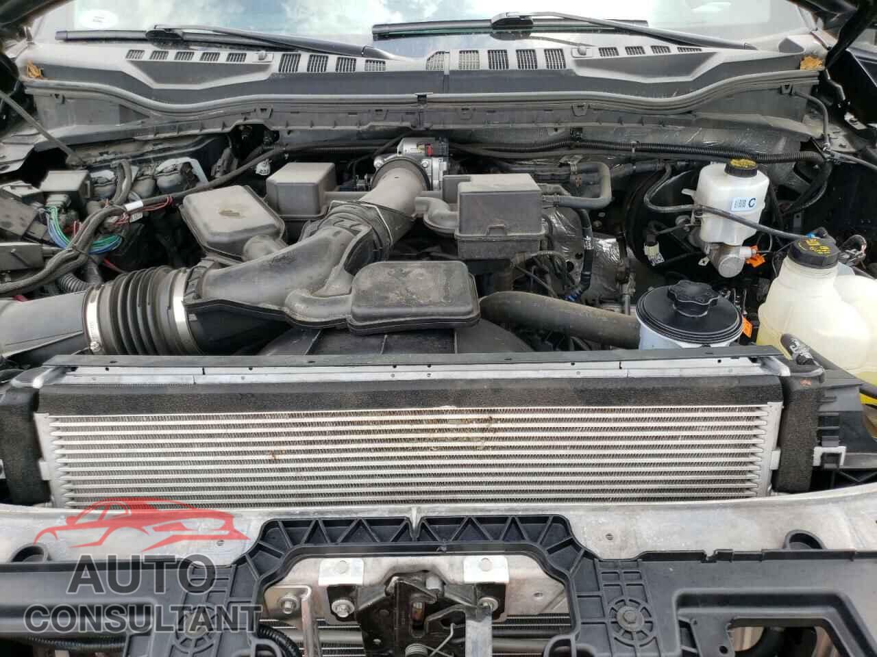 FORD F250 2020 - 1FT7W2B65LEE81252