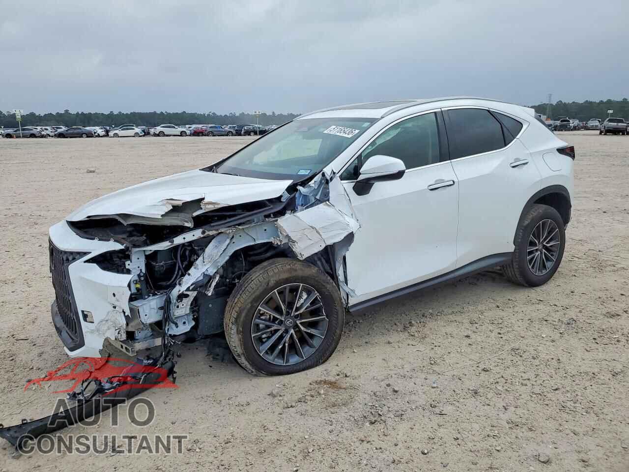 LEXUS UNKNOWN 2026 - 2T2GGCEZXTC097720